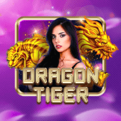 d9d9 game apk Dragon Tiger
