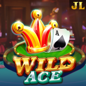 d9d9 game apk Wild Ace slot